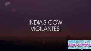 Ch4¼Ƭӡȵţ Indias Cow Vigilantes 2017ӢӢ-