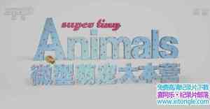 Ӽ¼Ƭ΢ȳӪ Super Tiny Animals 2011ȫ3-