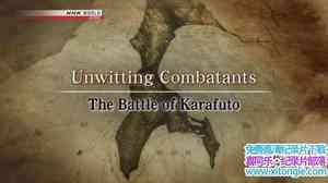 NHK¼Ƭҳս The Battle of Karafuto 2017Ӣ-