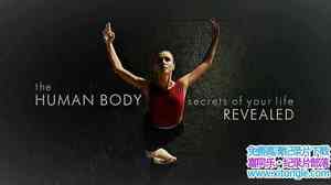 BBC¼Ƭ The Human Body Secrets of Your Life Revealed 2017ȫ3-