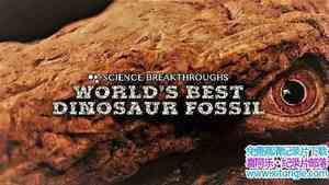 CuriosityStream¼ƬõĿʯ Worlds Best Dinosaur Fossil 2017Ӣ-