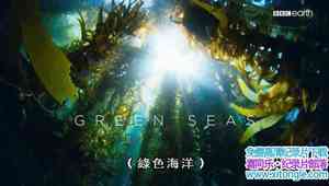 BBC¼Ƭɫ II 5ɫ Blue Planet II Green Seas 2017ڶ5-