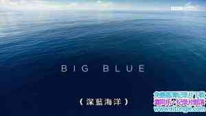 BBC¼ƬɫII 4 Blue Planet II Big Blue 2017ڶ4-