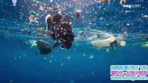 BBC¼ƬɫII 4 Blue Planet II Big Blue 2017ڶ4-