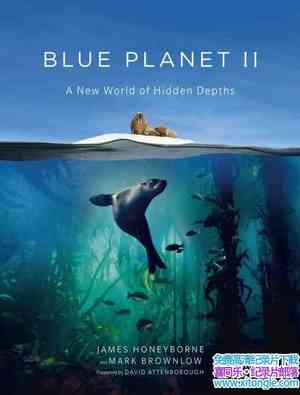 BBC¼Ƭɫ II 3ɺ Blue Planet IICoral Reefs 2017ڶ3-