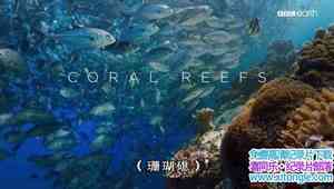 BBC¼Ƭɫ II 3ɺ Blue Planet IICoral Reefs 2017ڶ3-