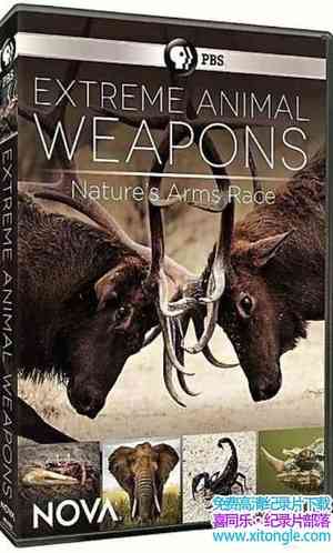 PBS¼Ƭ˶ Extreme Animal Weapons 2017ӢӢ-