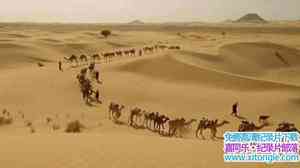 BBC¼Ƭ͢Ϳͼʧͼ The Lost Libraries of Timbuktu 2009ӢӢ-