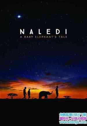 Netflix¼ƬյϣһֻСĹ Naledi: A Baby Elephants Tale 2016Ӣ-