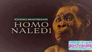 WildDogFilms¼Ƭѧͻƣ Science Breakthroughs Homo Naledi 2017ӢӢ-