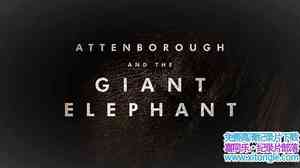 BBC¼ƬǱ Attenborough and The Giant Elephant 2017ӢӢ-