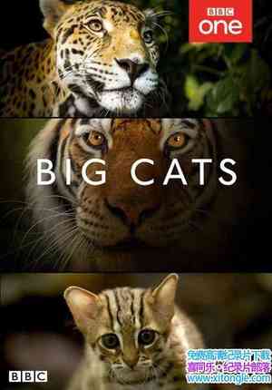 BBC¼Ƭè Big Cats 2018Ӣ-