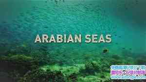 ʷɭƵ Arabian Seas 2018һȫ5-