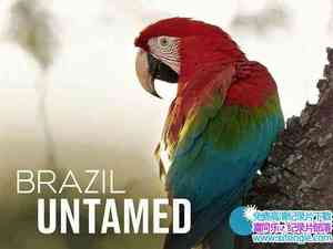 ʷɭƵδѱ֮ Brazil Untamed 2016һȫ5-