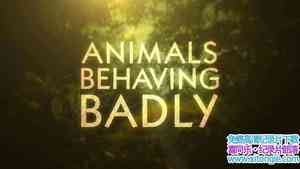 BBC¼ƬֹĻ Animals Behaving Badly 2018-