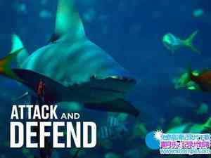 ʷɭƵϮ͵ Attack and Defend 2018һȫ6-