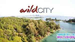 BSkyB¼ƬҰ/ǲҰʨ Wild City 2016ȫ3-