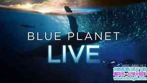 BBC¼Ƭɫֱ Blue Planet Live 2019ȫ4-