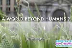 ¼ƬԽ A World Beyond Humans 2018Ӣ-