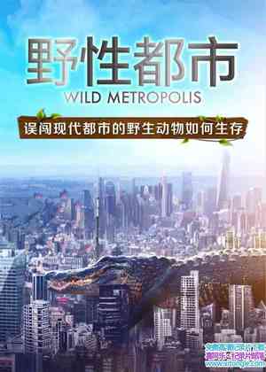 BBC¼ƬҰԶ Wild Metropolis 2018ӢӢ 1080P/MKV/4.86G Ұ¼Ƭٶ