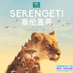 BBC¼Ƭ׸ǵ Serengeti 2019һȫ6 ӢӢ 720P/MKV/15.58G BBC¼Ƭظٶ