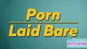 BBC¼Ƭ¶ɫ Porn Laid Bare 2019һȫ3-