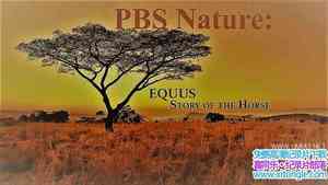 PBS¼ƬĹ Equus Story of the Horseһȫ3-