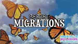 Kwanza¼ƬǨ Secret Migrations 2019һȫ4-