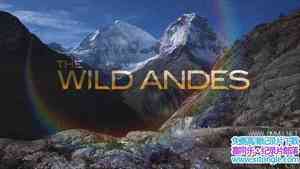 ˹ɭƵҰİ˹ɽ The Wild Andes 2019ȫ3-