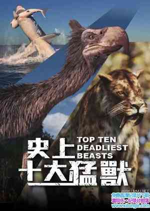 BBC¼ƬʮҰ Top Ten Deadliest Beasts 2019ȫ2-