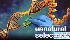 Netflix¼Ƭﾺ/Ȼѡ Unnatural Selectionȫ4-