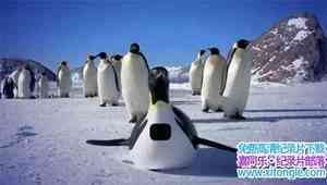 BBC¼Ƭ챦ֻ֮/СѩһֻĹ Snow Chick C A Penguins TaleӢ˫-