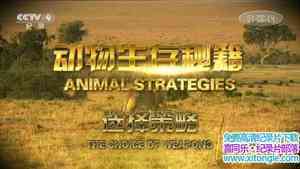 ¼Ƭؼ Animal Strategiesȫ6-