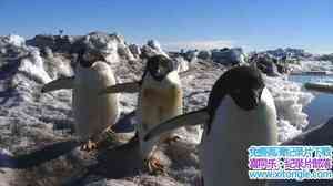 ϼ޼¼Ƭϼޣϵһ Antarctica A Year on IceӢ720P-