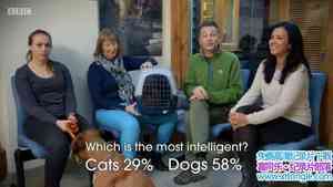 BBC¼Ƭƴ Cats v Dogs: Which is Bestȫ2-