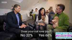 BBC¼Ƭƴ Cats v Dogs: Which is Bestȫ2-