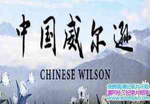 Ӽ¼Ƭйѷ Chinese Wilsonȫ3-