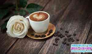 ȼ¼ƬƷζ Coffee Confidentialȫ2-