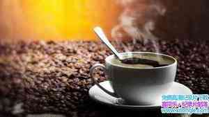 ȼ¼ƬƷζ Coffee Confidentialȫ2-