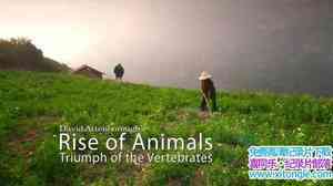 BBC¼Ƭ𣺼׵ʤDavid Attenboroughs Rise of Animals: Triumph of the V-