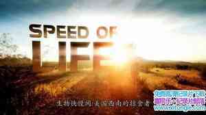 ̽Ƶٶ Speed Of Lifeȫ3-