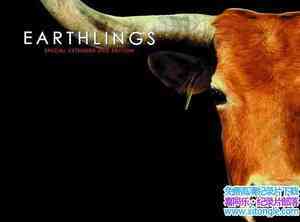 ﱣ¼Ƭ Earthlings 2005Ӣ-