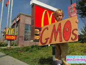 ת¼Ƭתҵϵ GMO OMG -