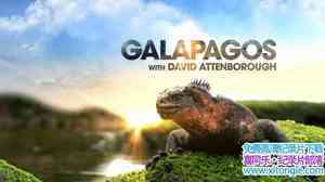 ABC¼ƬǱμ˹Ⱥ Galapagos with David Attenboroughȫ3-