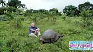 ABC¼ƬǱμ˹Ⱥ Galapagos with David Attenboroughȫ3-