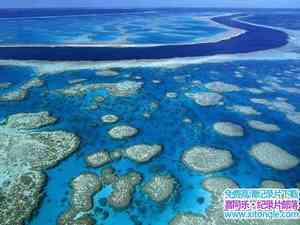 BBC¼Ƭô󱤽 Great Barrier Reef ȫ3-