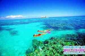 BBC¼Ƭô󱤽 Great Barrier Reef ȫ3-