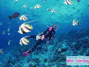 BBC¼Ƭô󱤽 Great Barrier Reef ȫ3-