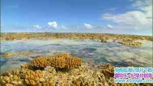 BBC¼Ƭô󱤽 Great Barrier Reef ȫ3-