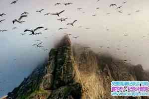 BBC¼ƬղȺ ߺ֮ Hebrides Islands on the Edgeȫ4-